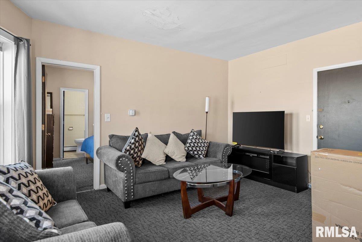 520 East South Grand Avenue Springfield, IL 62703 - Photo 15 of 30