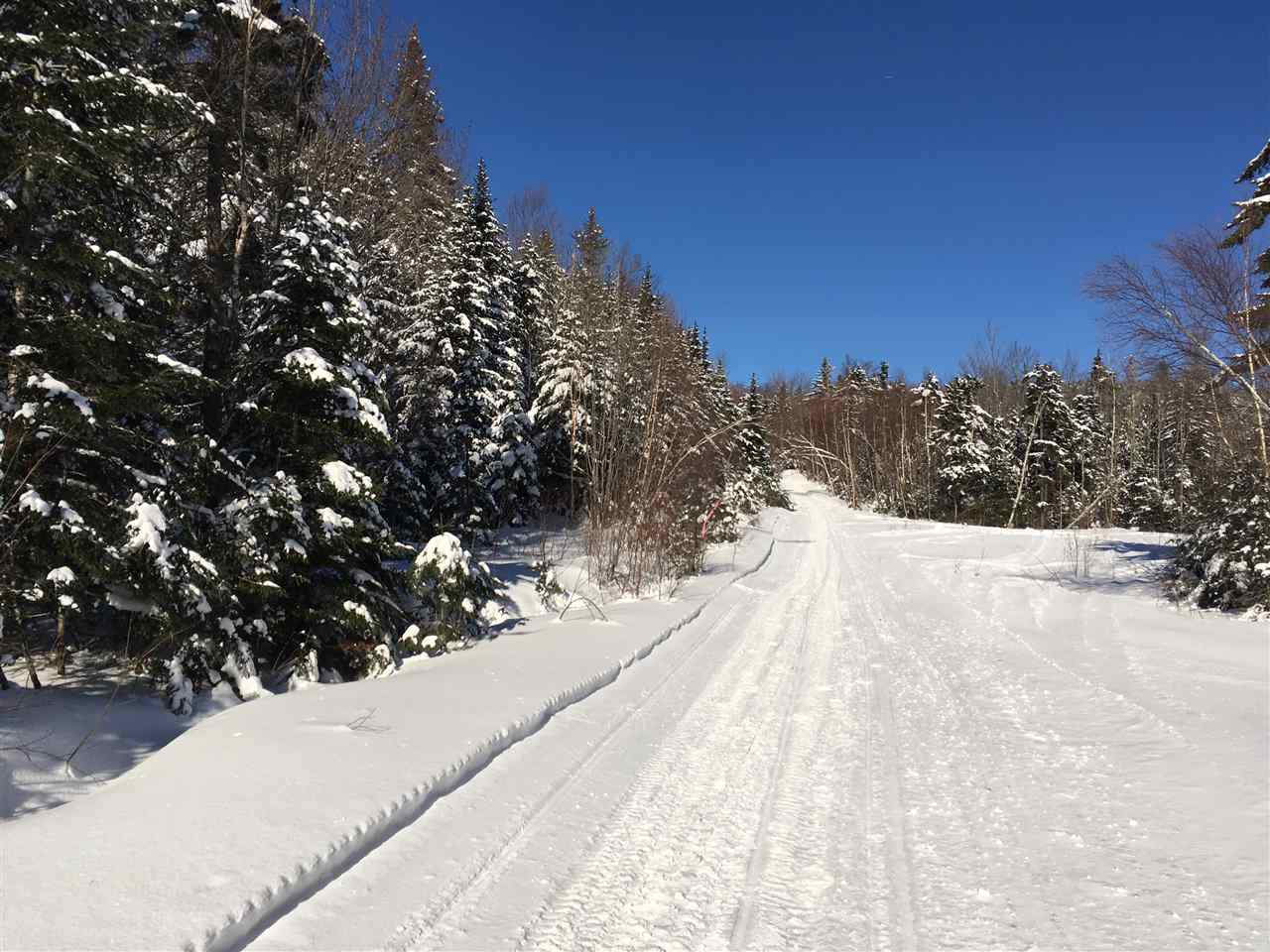 975 Bear Farm Road, Unit 32 Northfield, VT 05663 - Photo 1 of 9