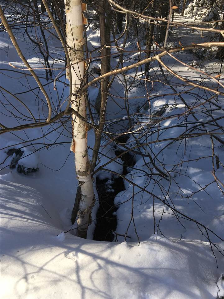 975 Bear Farm Road, Unit 32 Northfield, VT 05663 - Photo 8 of 9