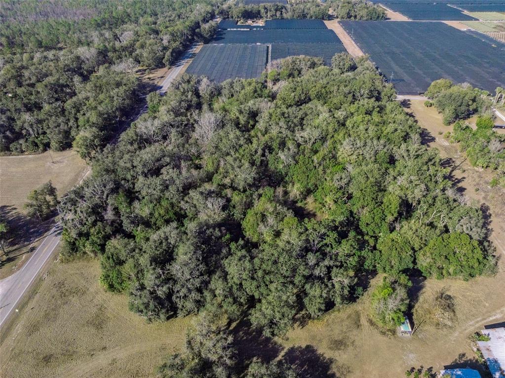 1975 Stone Road Pierson, FL 32180 - Photo 11 of 18