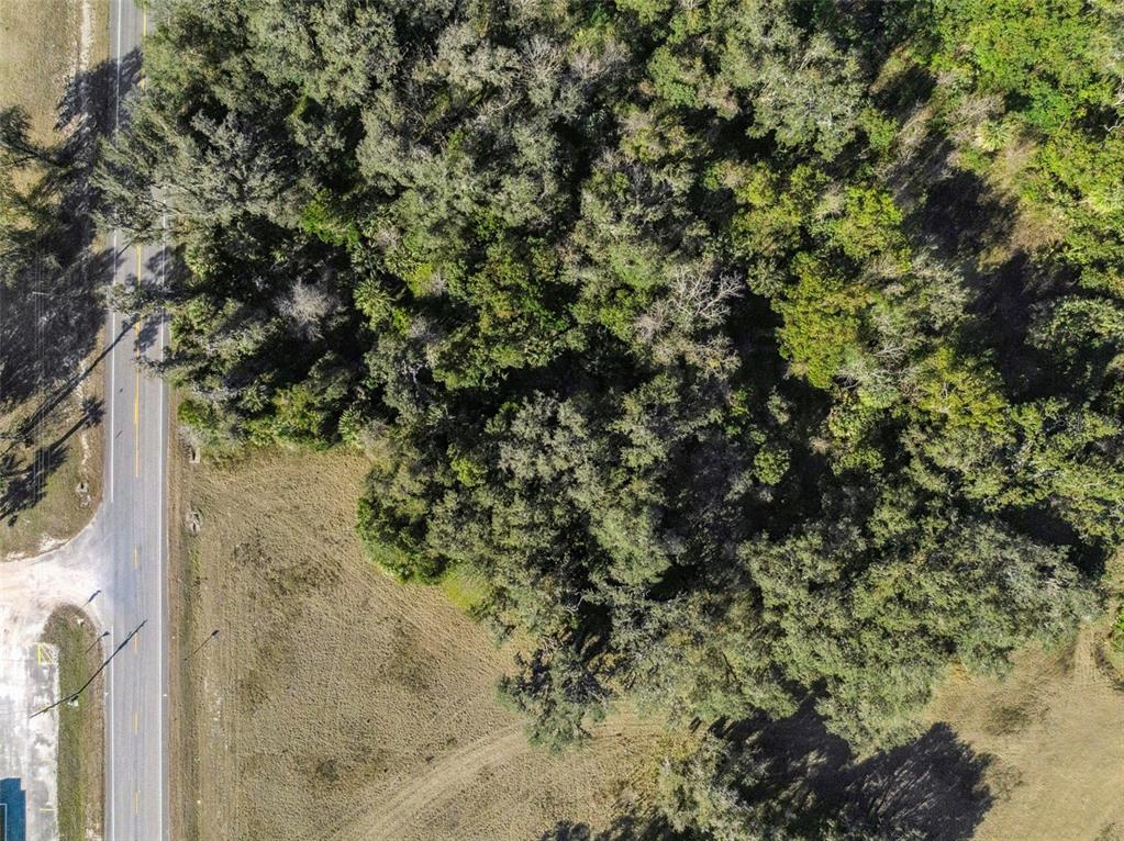 1975 Stone Road Pierson, FL 32180 - Photo 12 of 18