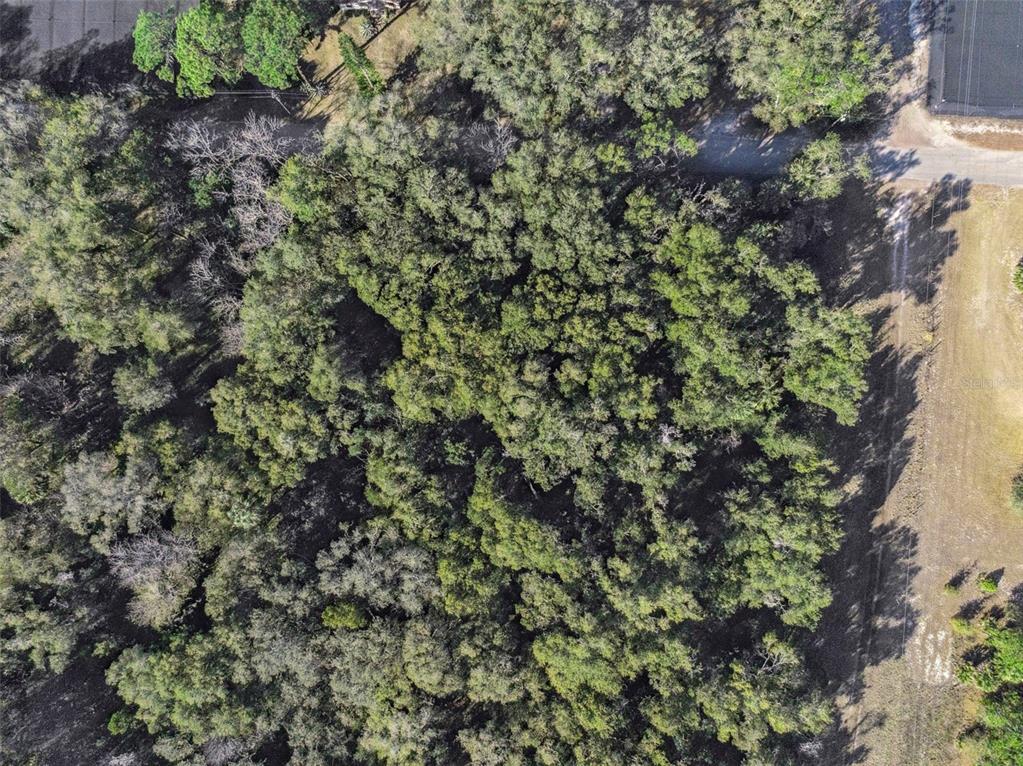 1975 Stone Road Pierson, FL 32180 - Photo 14 of 18