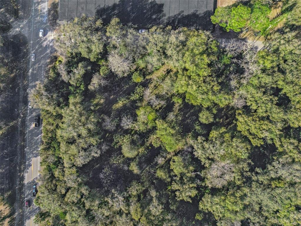 1975 Stone Road Pierson, FL 32180 - Photo 15 of 18