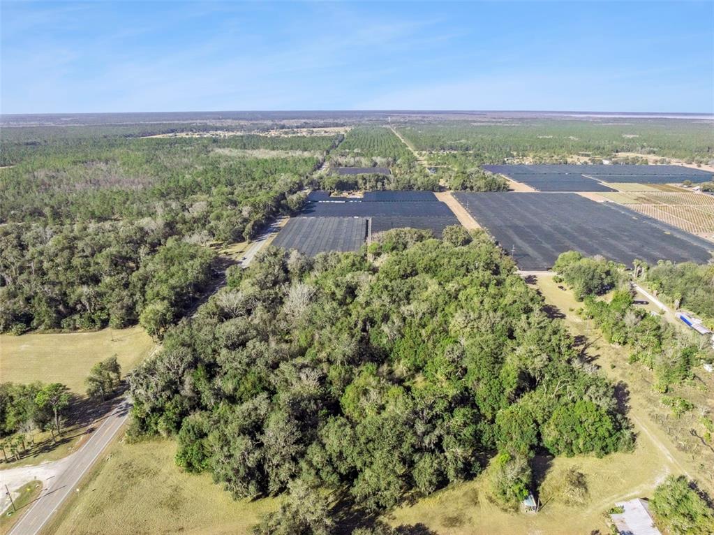 1975 Stone Road Pierson, FL 32180 - Photo 17 of 18
