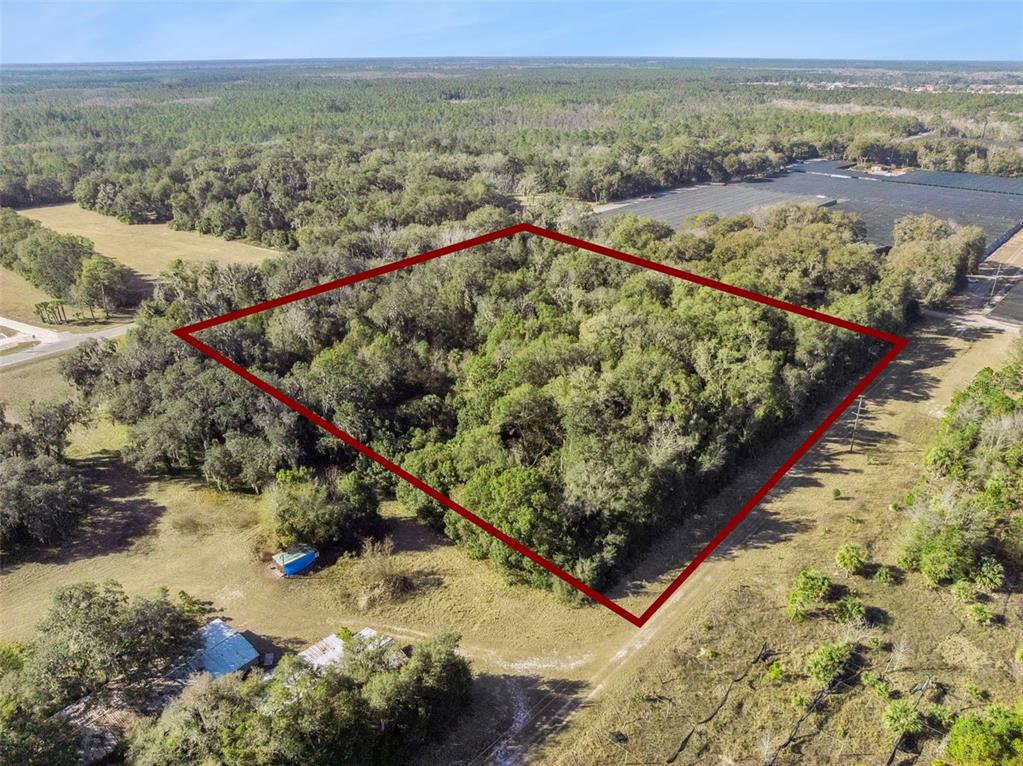 1975 Stone Road Pierson, FL 32180 - Photo 4 of 18