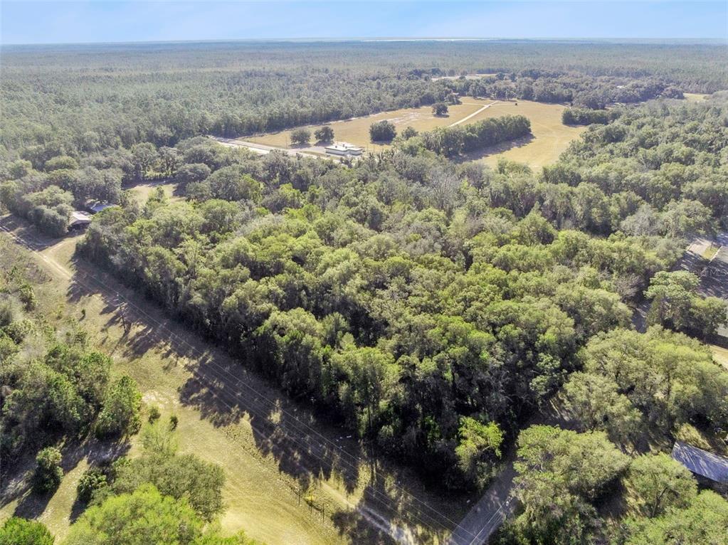 1975 Stone Road Pierson, FL 32180 - Photo 5 of 18