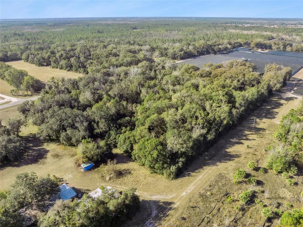1975 Stone Road Pierson, FL 32180 - Photo 6 of 18
