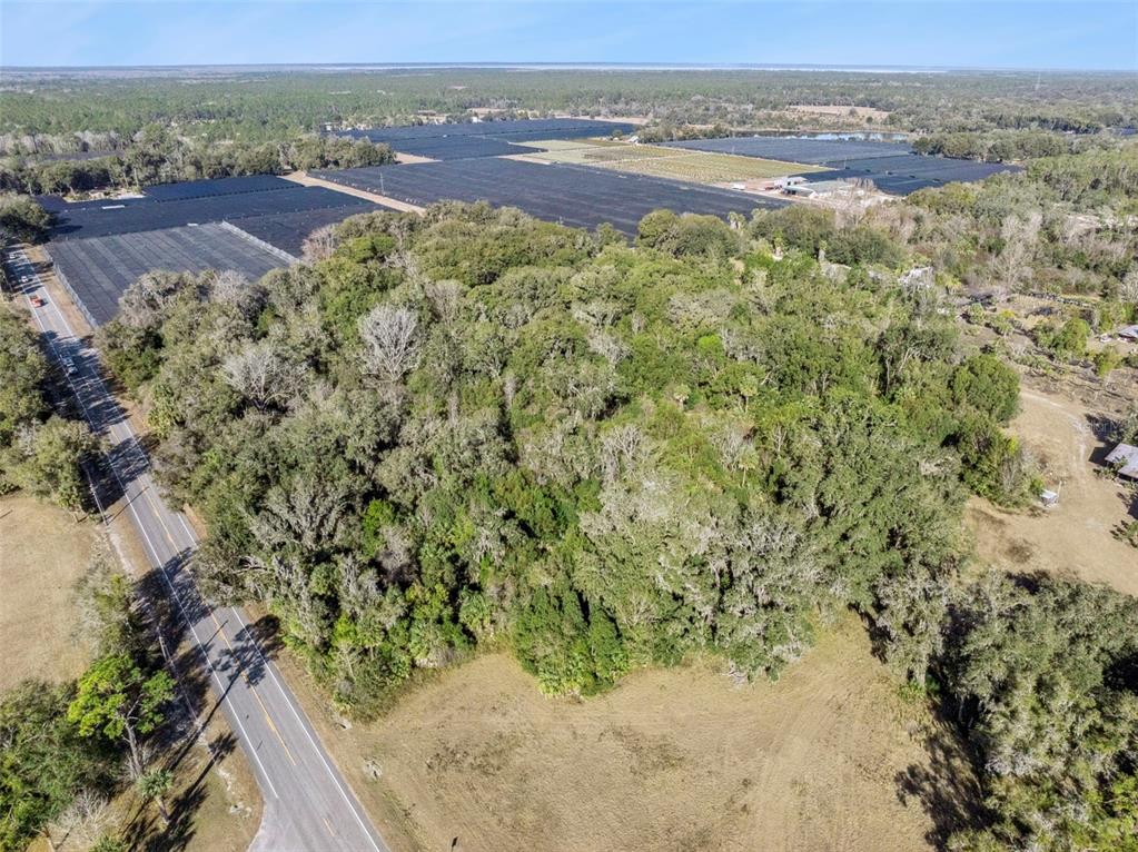 1975 Stone Road Pierson, FL 32180 - Photo 7 of 18