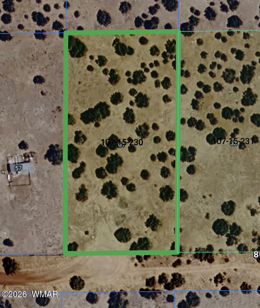 61 County Road Concho, AZ 85924 - Photo 2 of 2 Gallery Image 2