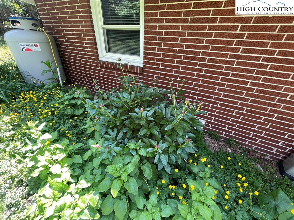 153 Wey Street Boone, NC 28607 - Photo 38 of 41 a view of a brick wall with a plant in front of it