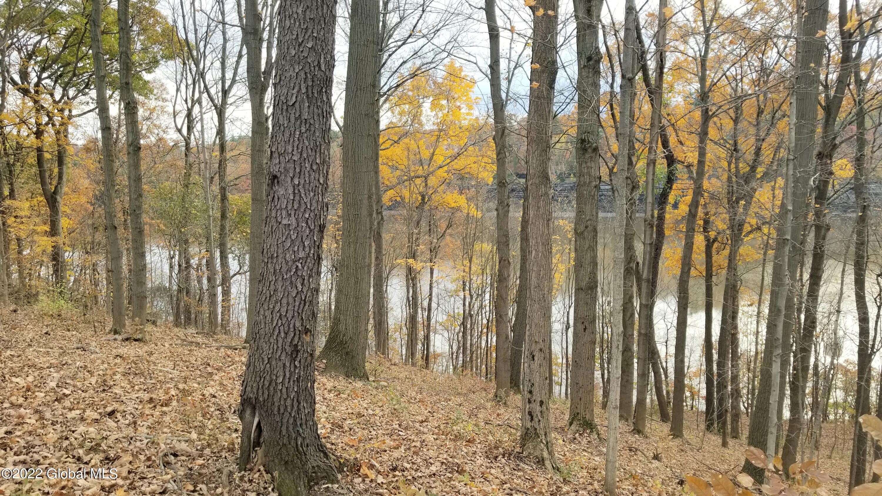 728 Riverview Road Rexford, NY 12148 - Photo 26 of 30 20220503_104258