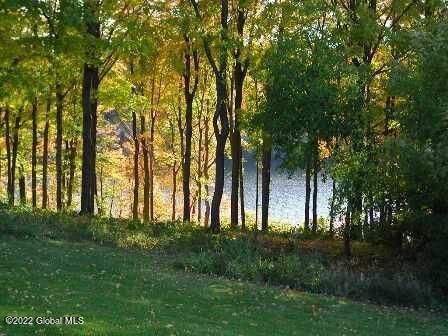 728 Riverview Road Rexford, NY 12148 - Photo 29 of 30 20211120090419957195000000-o