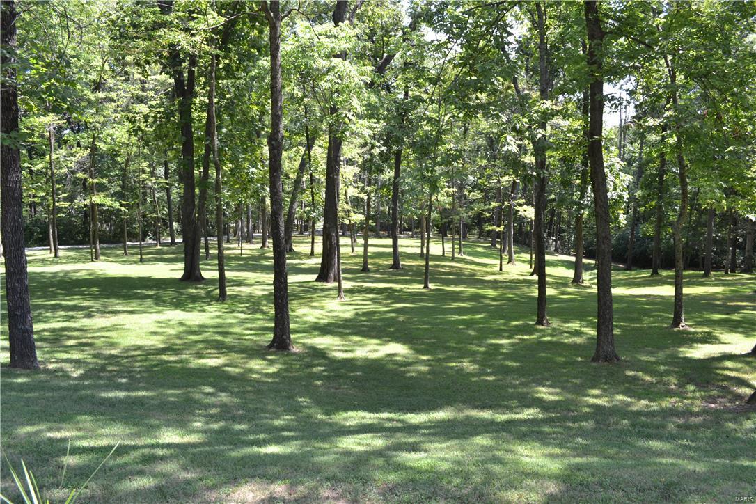 21385 Skelton Road Carlyle, IL 62231 - Photo 49 of 61
