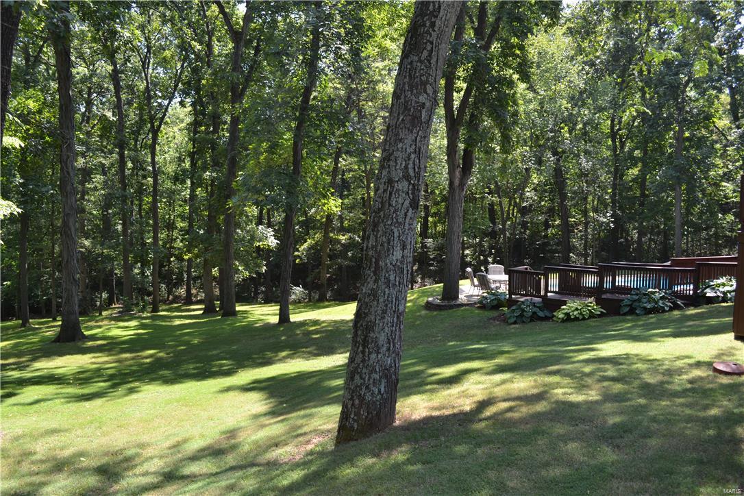 21385 Skelton Road Carlyle, IL 62231 - Photo 50 of 61