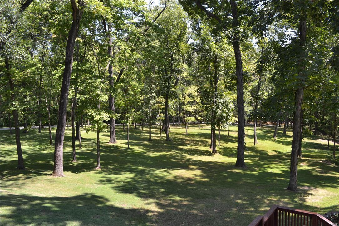 21385 Skelton Road Carlyle, IL 62231 - Photo 53 of 61