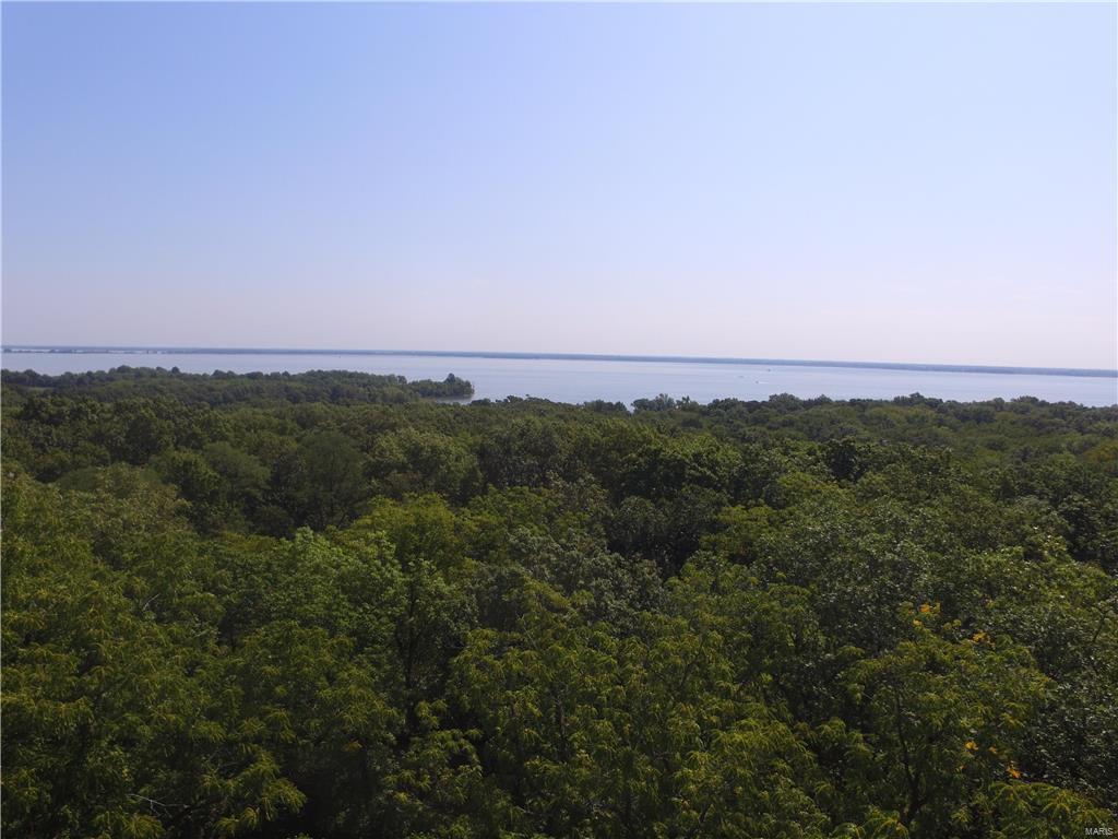 21385 Skelton Road Carlyle, IL 62231 - Photo 57 of 61
