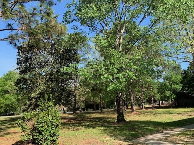5735 Wildwood Road Crestview, FL 32536 - Photo 16 of 17 5735 Wildwood Rd. Front Yard