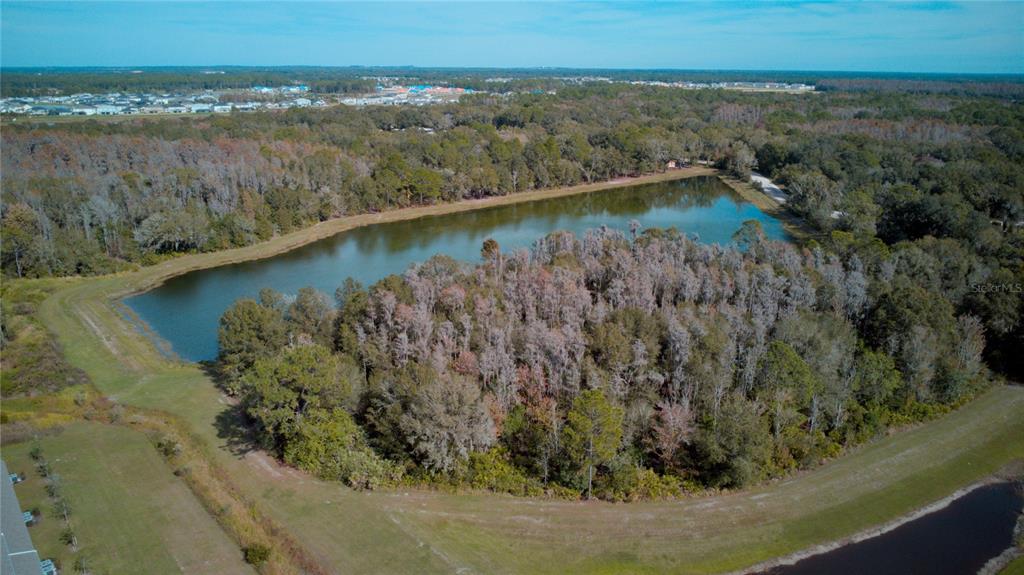 1570 Hubbell Road Wesley Chapel, FL 33543 - Photo 20 of 23