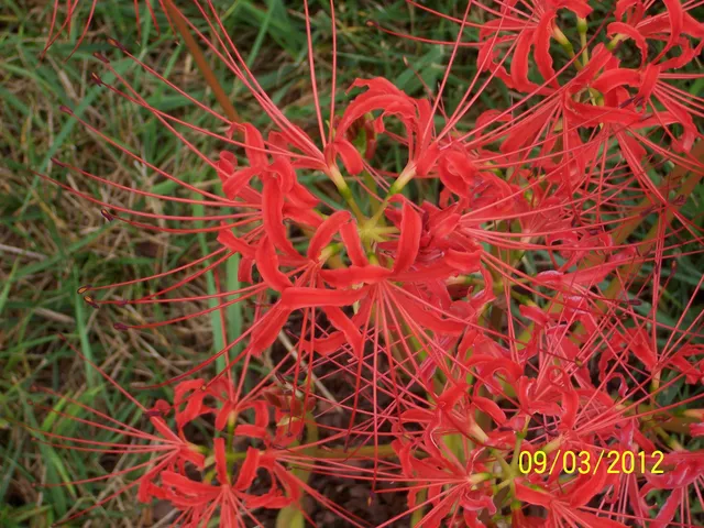 $849,000 | 196 Halsey Court, Wirtz, VA 24184