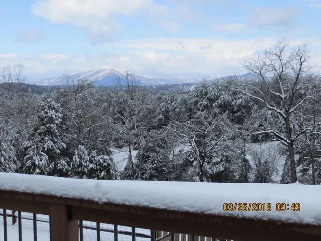 $849,000 | 196 Halsey Court, Wirtz, VA 24184