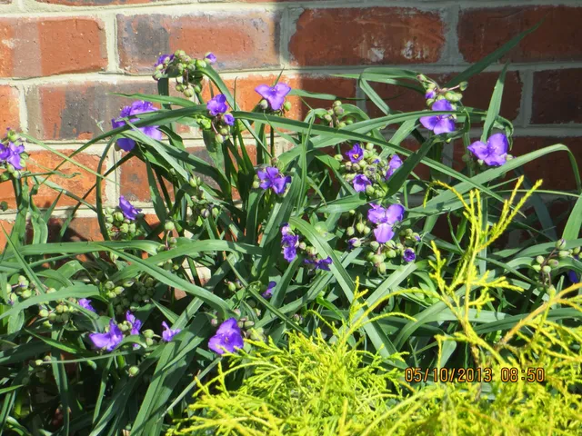 $849,000 | 196 Halsey Court, Wirtz, VA 24184