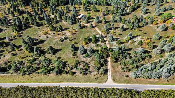 $60,000 | 17194 Litzen Road, Copemish, MI 49625