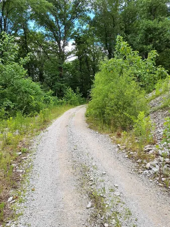 a view of a road with a yard