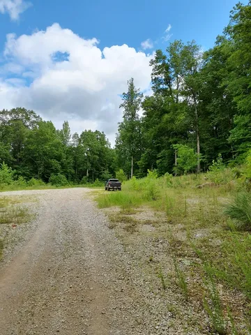 a view of a big yard with swimming pool and green space