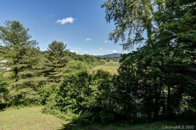 110 Cornerstone Ridge Waynesville, NC 28786 - Photo 8 of 33 a view of a yard with a tree