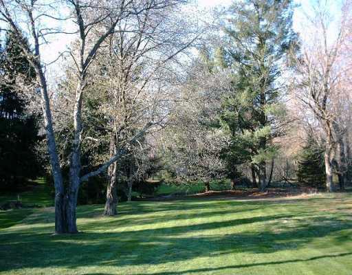 593 Golf Course Road Aliquippa, PA 15001 - Photo 11 of 13 Yard/Garden.