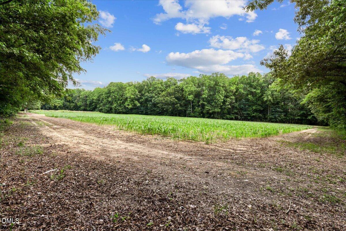 0 Antioch Church Road Middlesex, NC 27557 - Photo 2 of 26