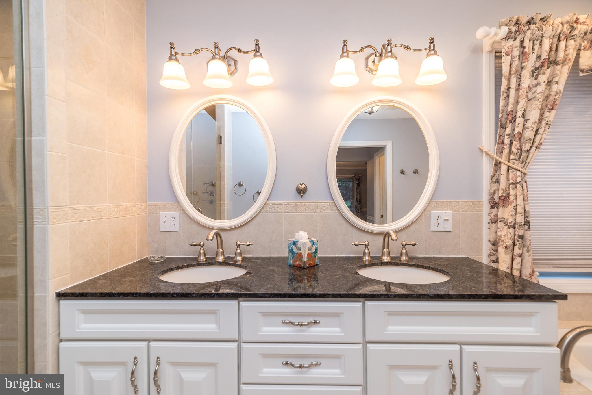 1447 Mine Spring Road Upper Black Eddy, PA 18972 - Photo 27 of 55 Master Bath