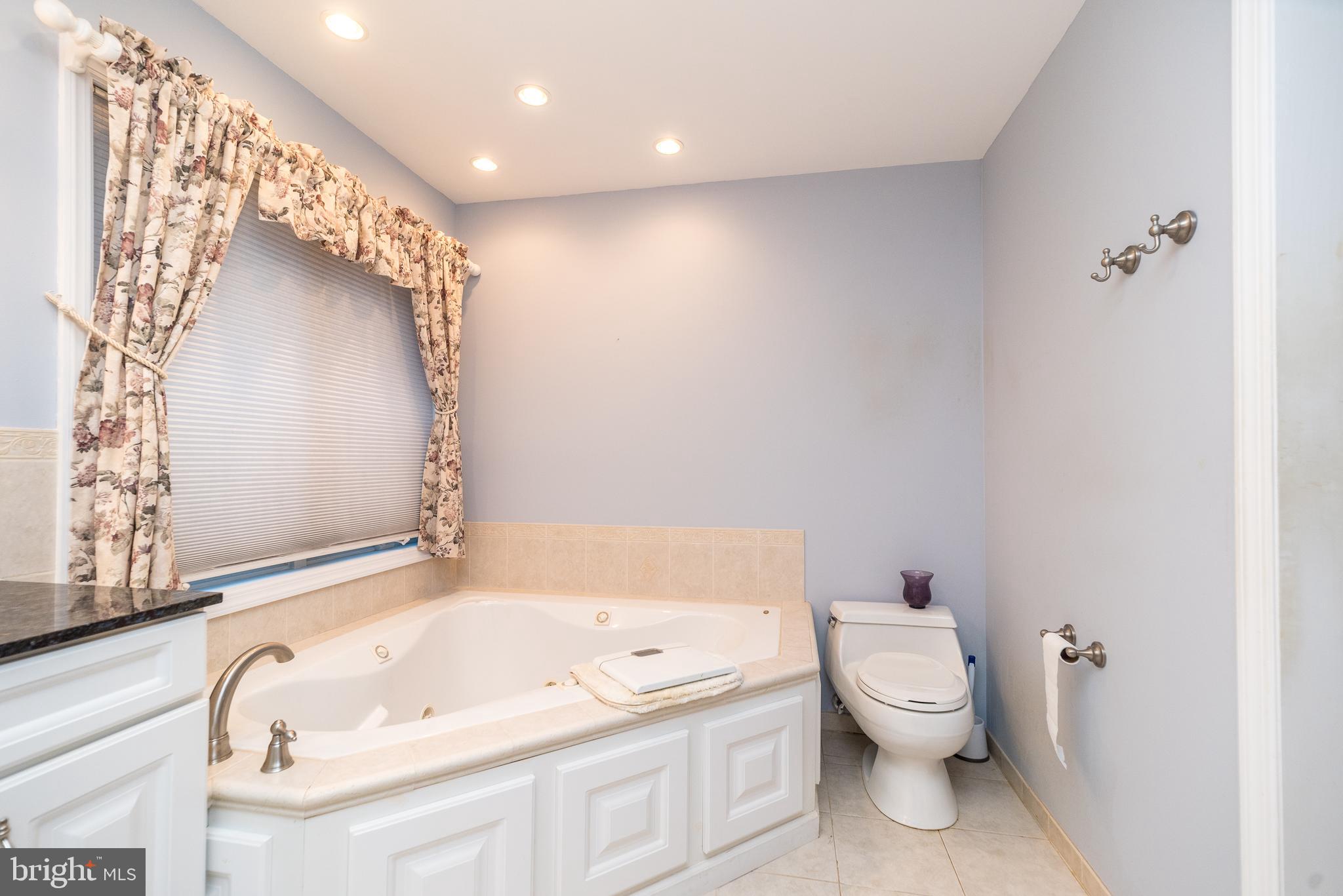 1447 Mine Spring Road Upper Black Eddy, PA 18972 - Photo 28 of 55 Master Bath