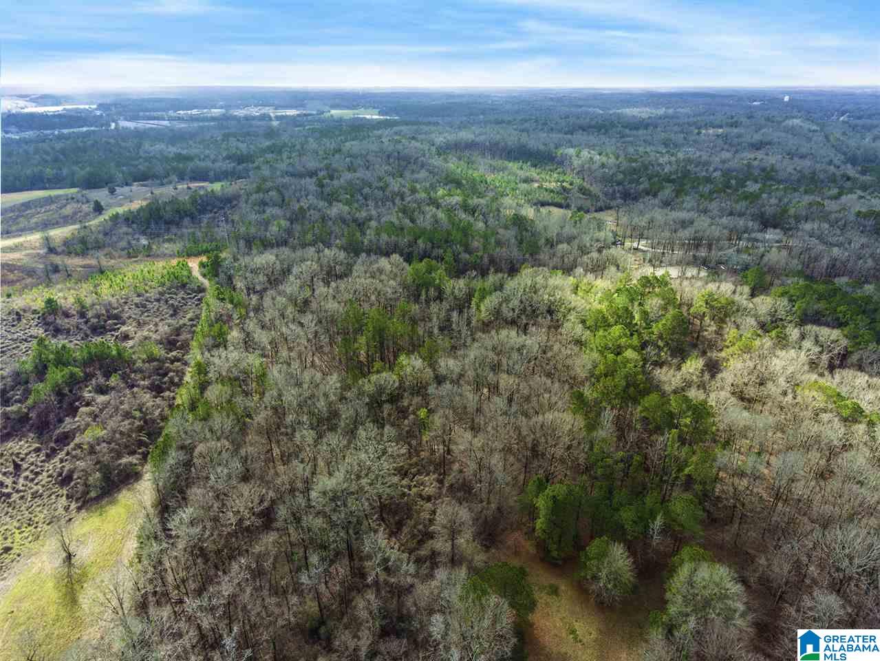 0 Spring Creek Road, Unit 30 AC Calera, AL 35040 - Photo 4 of 20