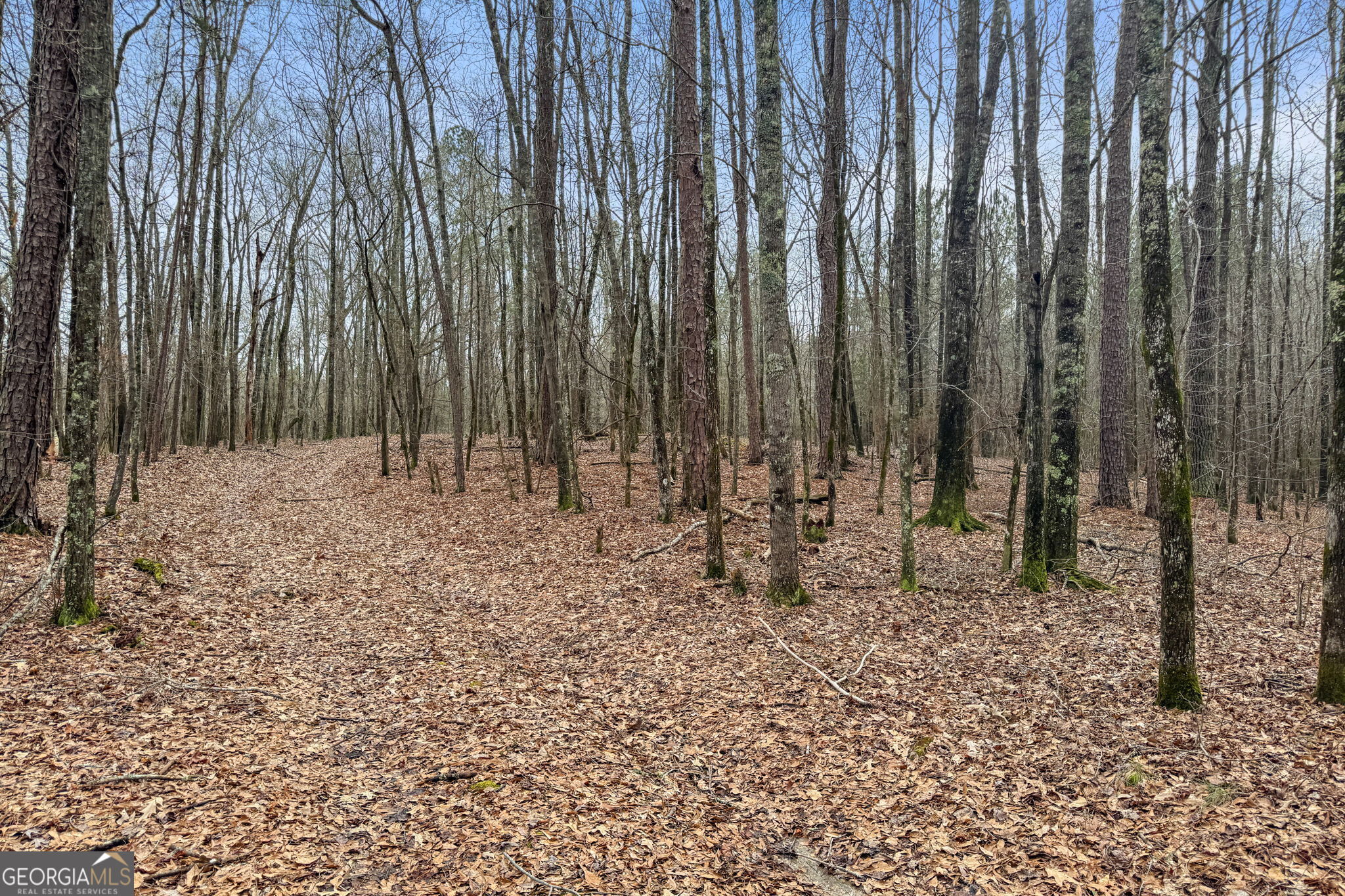 34.61-acres Walker Road Meansville, GA 30256 - Photo 15 of 19 a view of wooden fence with trees