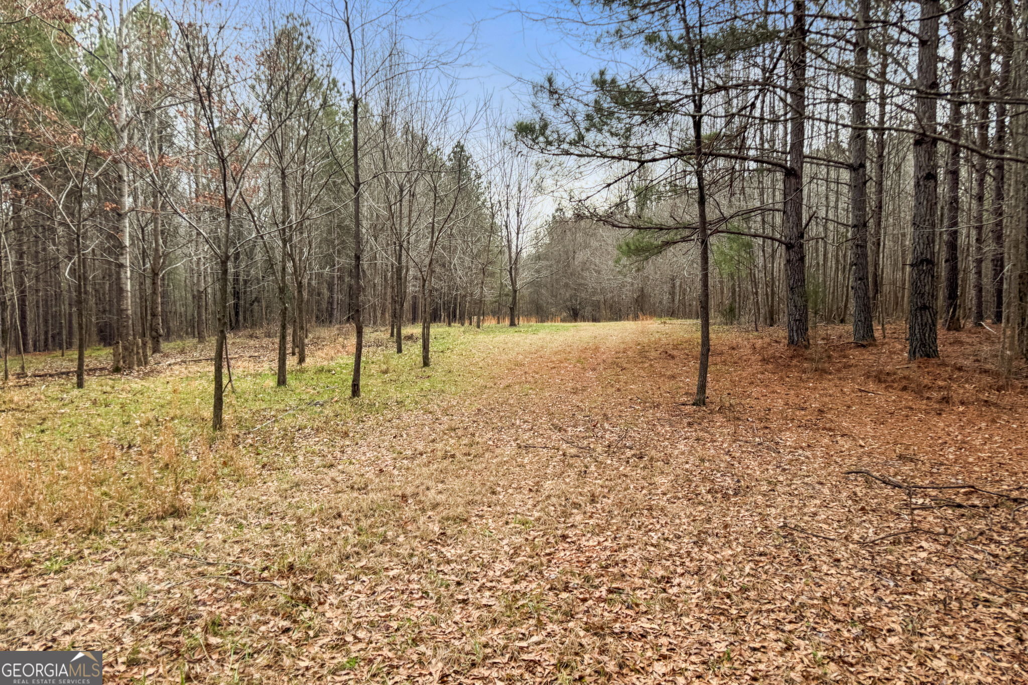 34.61-acres Walker Road Meansville, GA 30256 - Photo 18 of 19 a view of empty room with trees