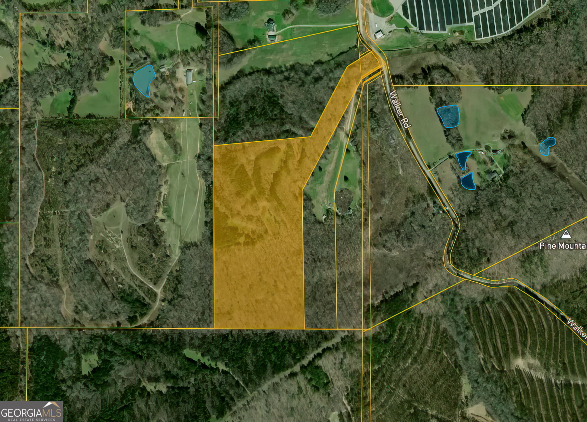 34.61-acres Walker Road Meansville, GA 30256 - Photo 3 of 19 a view of a yard