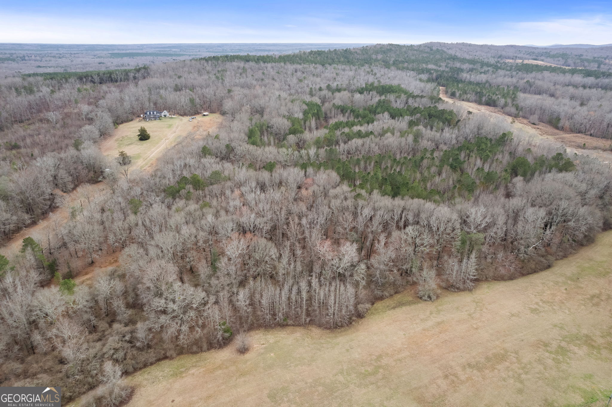 34.61-acres Walker Road Meansville, GA 30256 - Photo 6 of 19 a view of a dry yard