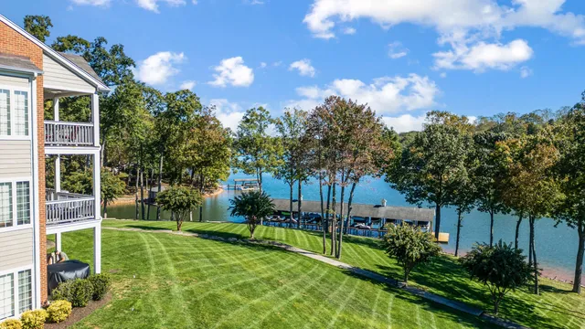 a view of a garden from a patio