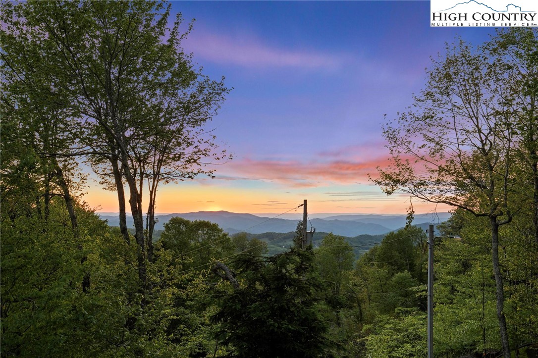 140 Spruce Hollow Road Beech Mountain, NC 28604 - Photo 3 of 50 a view of a yard