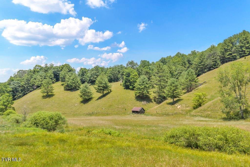 150 Fred Price Road Mountain City, TN 37683 - Photo 6 of 35 7