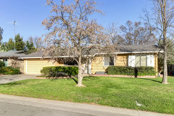 a view of a house with backyard and a tree