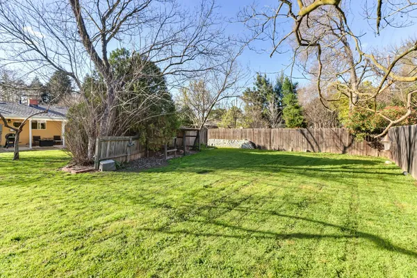 a view of a backyard with large trees