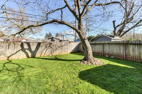 a backyard of a house with lots of green space and fountain