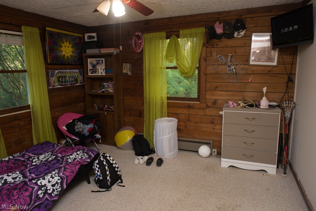 5765 Buffham Road Seville, OH 44273 - Photo 19 of 28 Gallery Image 19