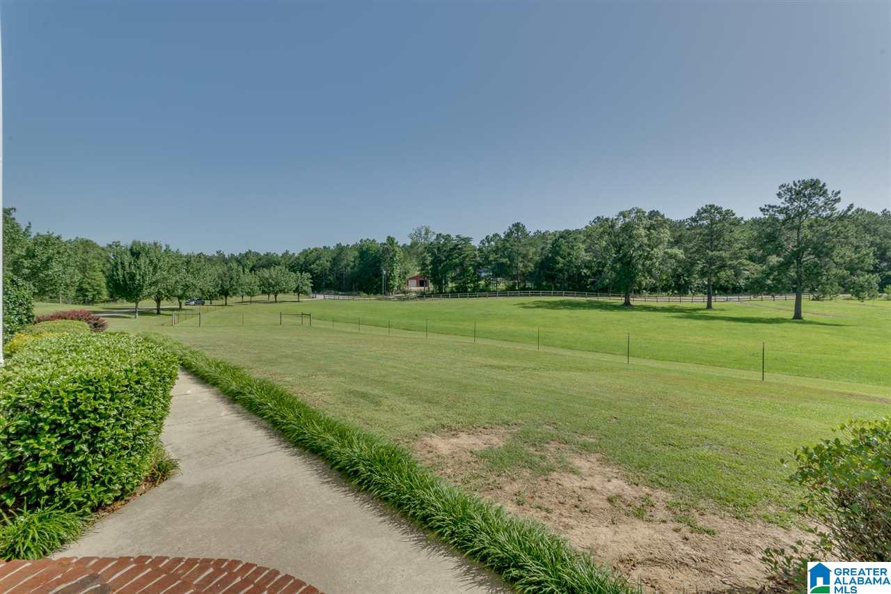 575 County Road 43 Clanton, AL 35046 - Photo 7 of 50