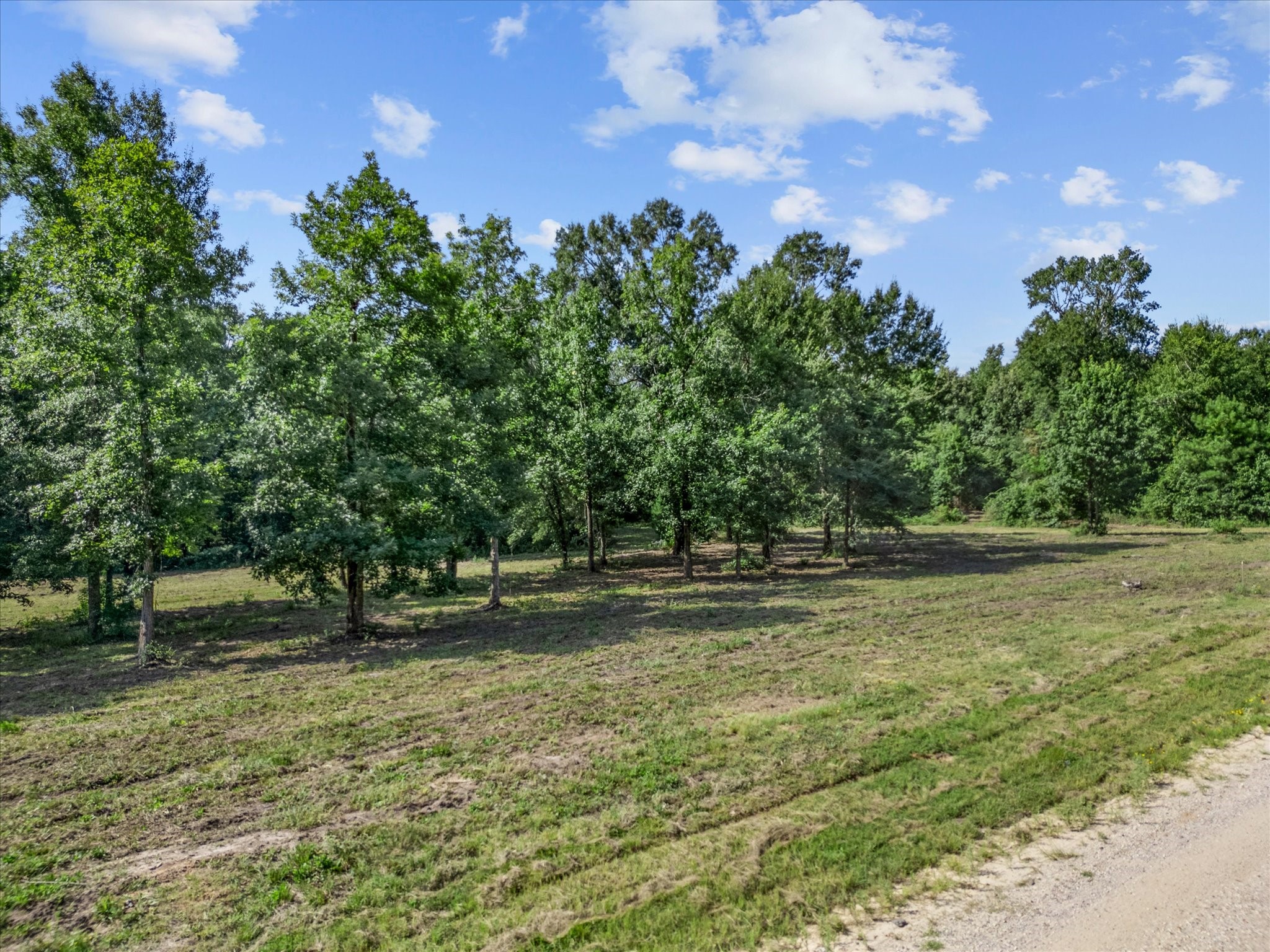 Tbd Felix Currie Road Point Blank, TX 77364 - Photo 28 of 46 Gallery Image 28
