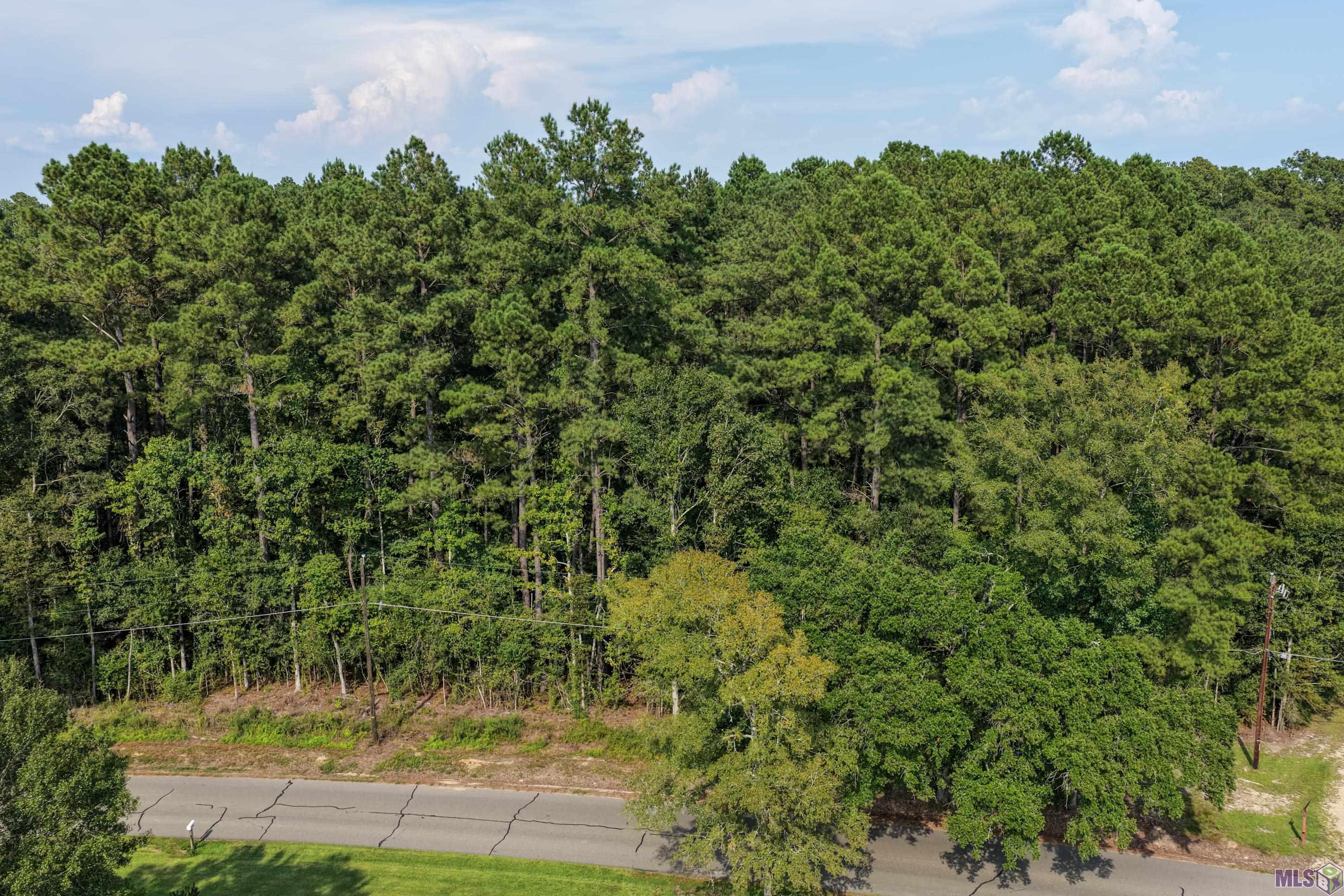 Tbd North Doyle Road Holden, LA 70744 - Photo 1 of 1 Gallery Image 1