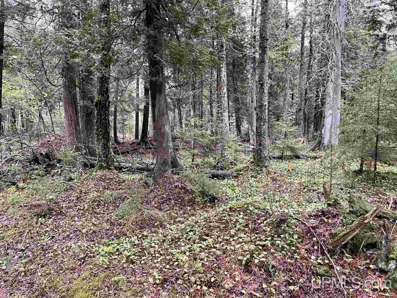 Tbd Collins Road Lanse, MI 49946 - Photo 8 of 14 Gallery Image 8
