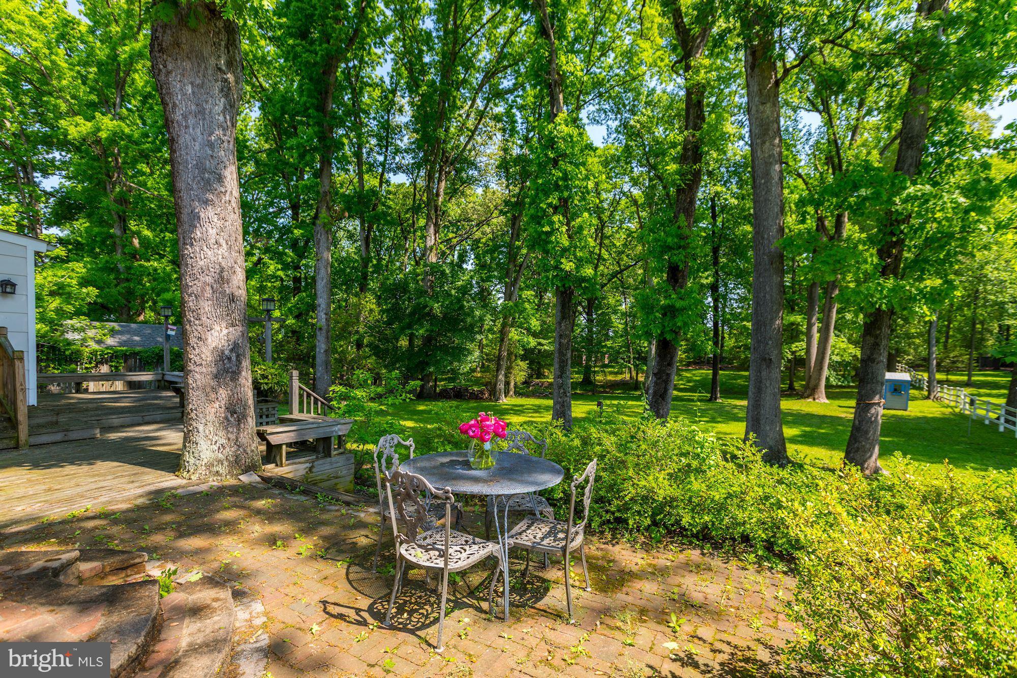 11511 Glen Road Potomac, MD 20854 - Photo 23 of 28 Patio just off screened porch facing backyard